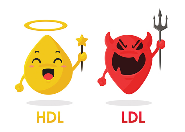 Mengetahui bedanya HDL dan LDL sangat penting bagi kesehatan tubuh.